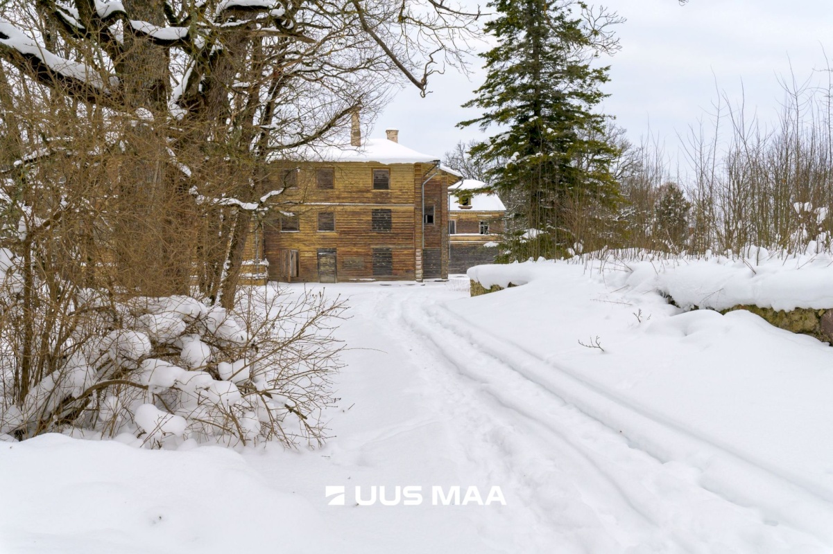 Vinni vald, Roela alevik, Pargi 4