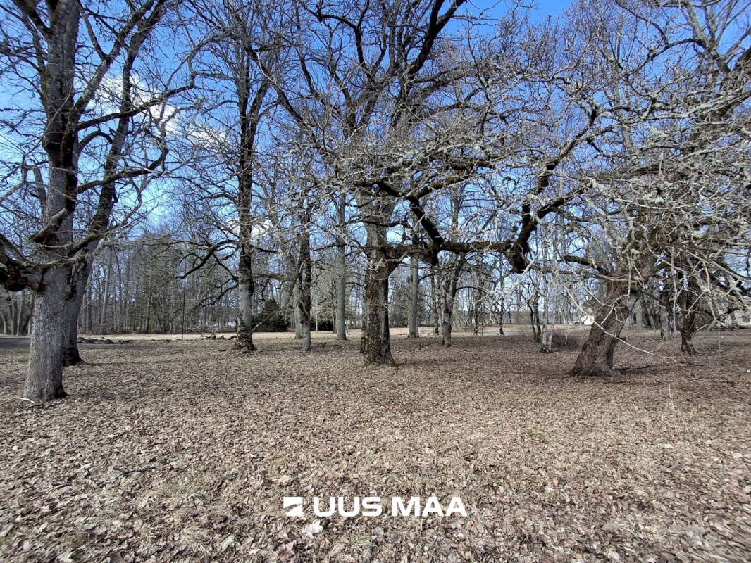 Vinni vald, Roela alevik, Pargi 4