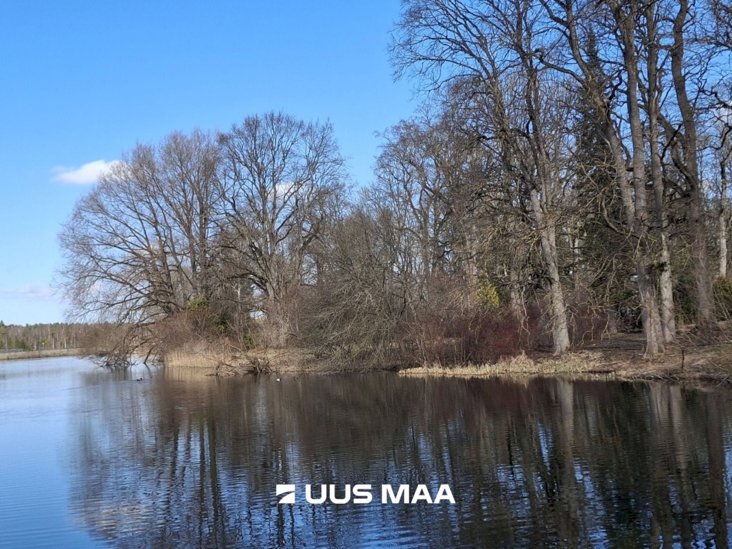 Vinni vald, Roela alevik, Pargi 4