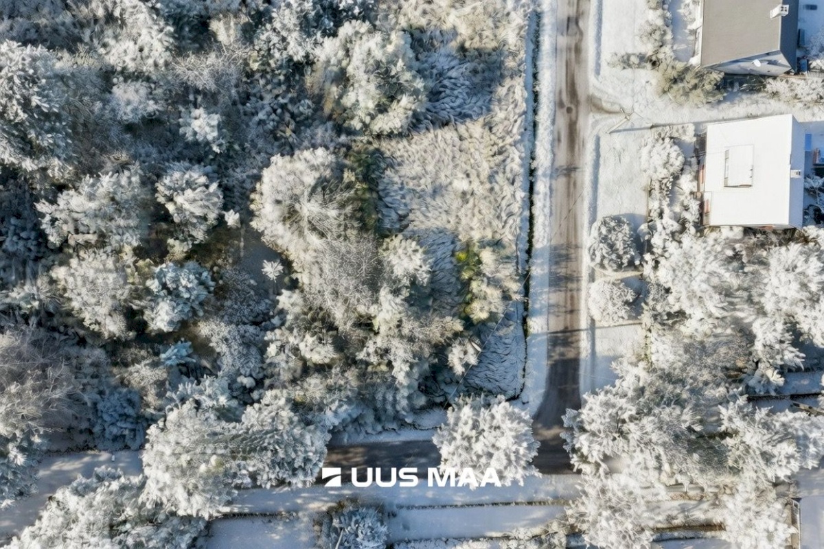 Tori vald, Sindi linn, Turba 3