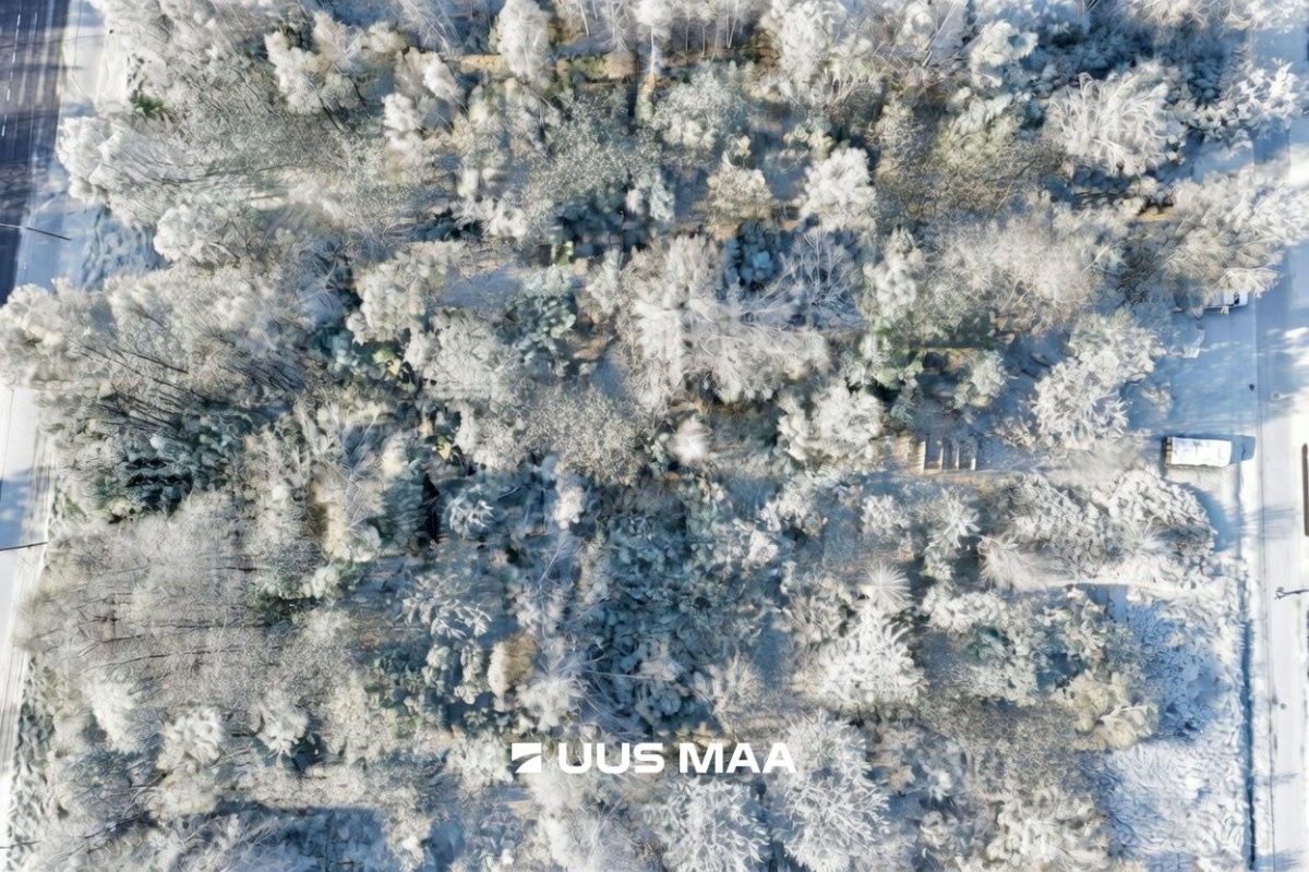 Tori vald, Sindi linn, Turba 3