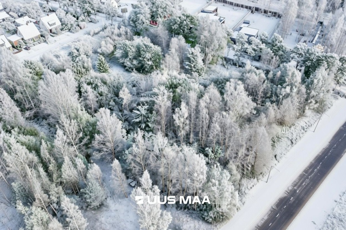 Tori vald, Sindi linn, Turba 3