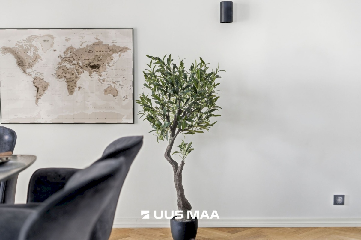 Tallinn, Kristiine linnaosa, Laine 3