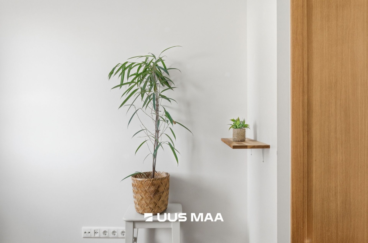 Tallinn, Mustamäe linnaosa, Pöörise 20