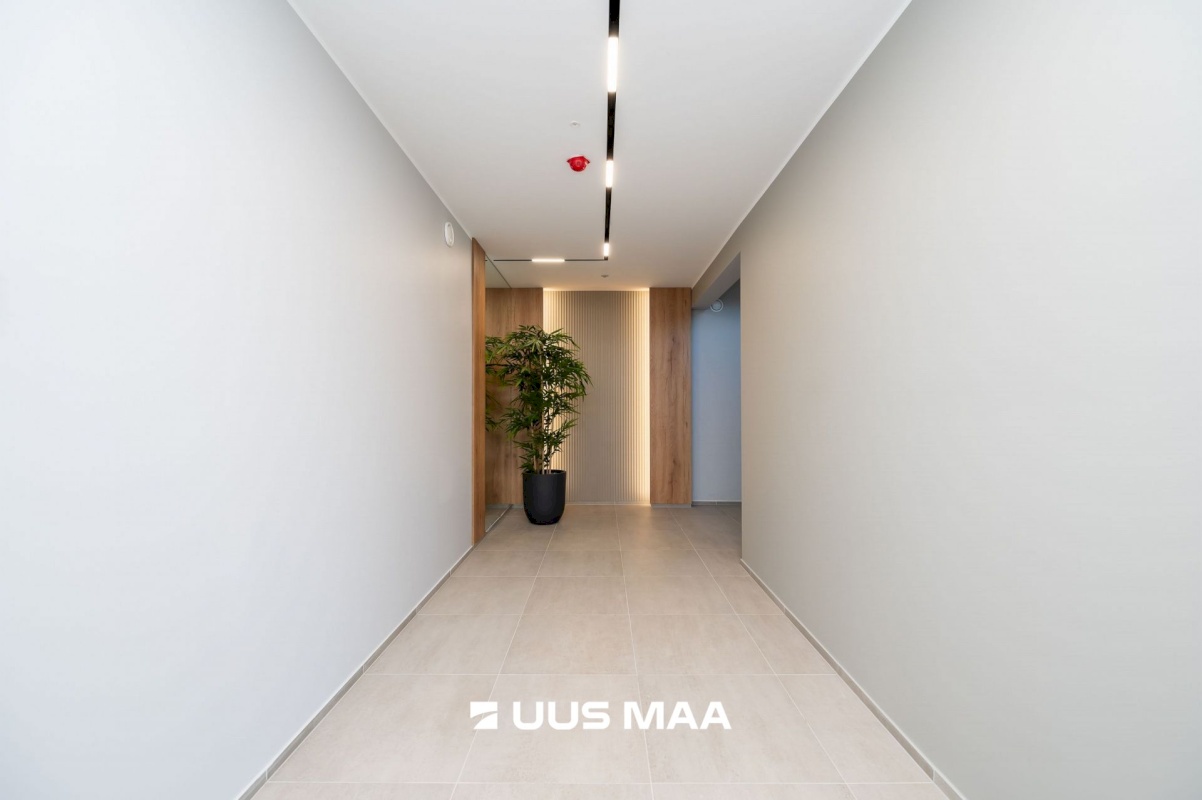 Tallinn, Kesklinna linnaosa, Kitseküla, Kiisa 12-24