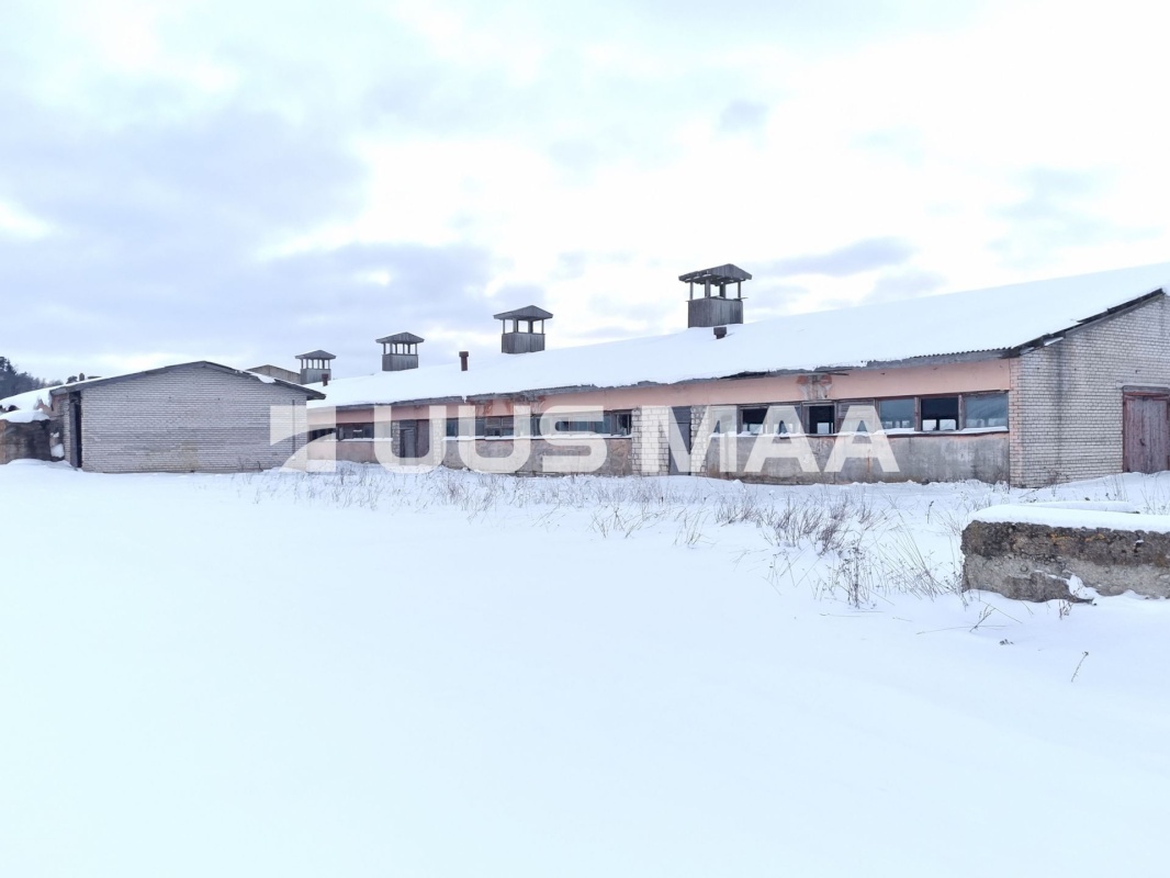 Vinni vald, Aasuvälja küla, Võlumäe farm