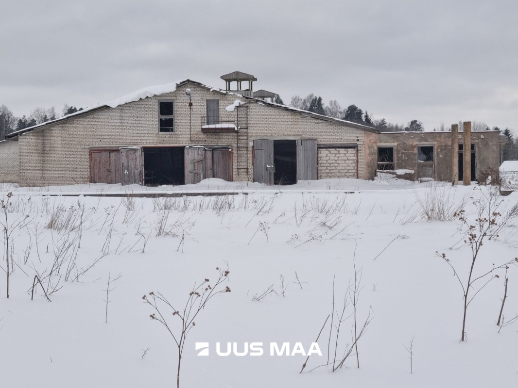 Vinni vald, Aasuvälja küla, Võlumäe farm