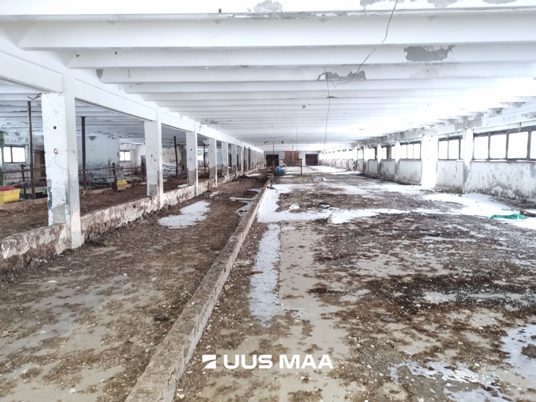 Vinni vald, Aasuvälja küla, Võlumäe farm