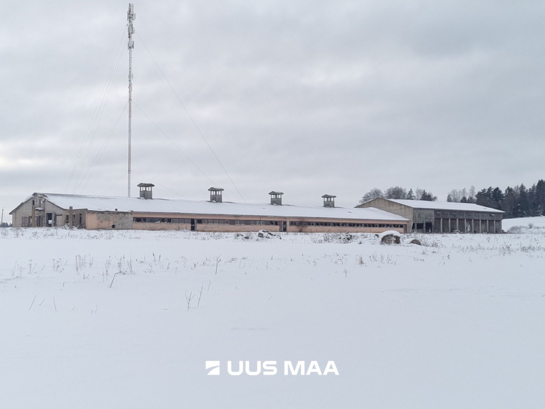 Vinni vald, Aasuvälja küla, Võlumäe farm