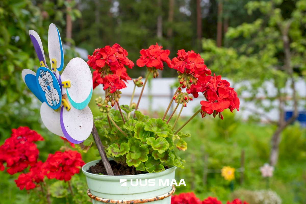 Lääne-Harju vald, Lemmaru küla