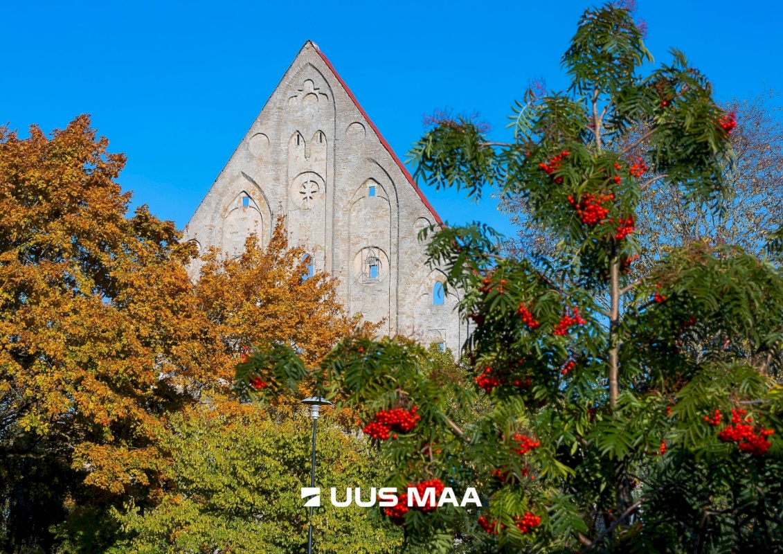 Tallinn, Pirita linnaosa, Masti tn 11