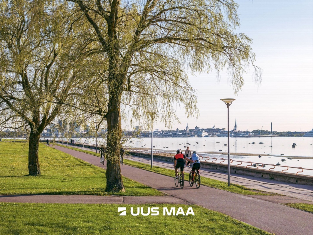 Tallinn, Pirita linnaosa, Masti tn 11