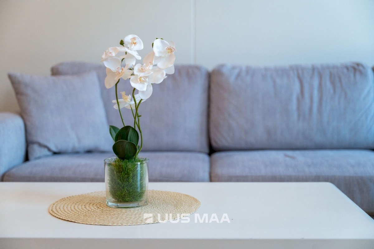 Tartu linn, Tartu linn, Annelinn, Taga-Annelinna, Ihaste põik 22