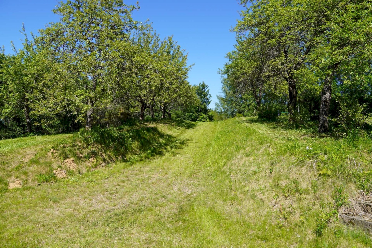 Võru vald, Meeliku küla, Ojavete