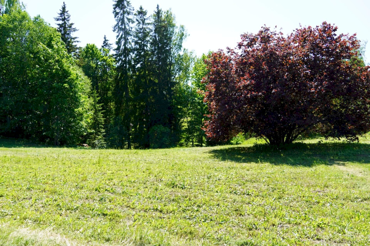 Võru vald, Meeliku küla, Ojavete