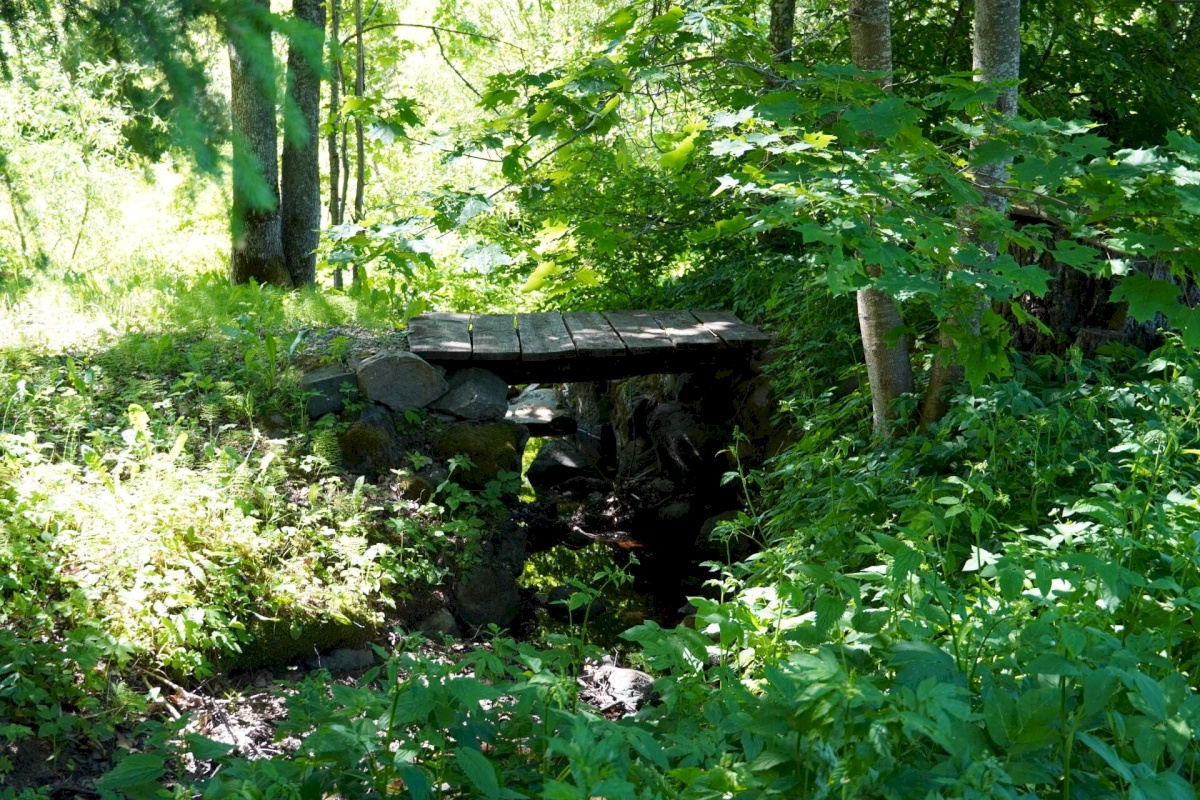 Võru vald, Meeliku küla, Ojavete