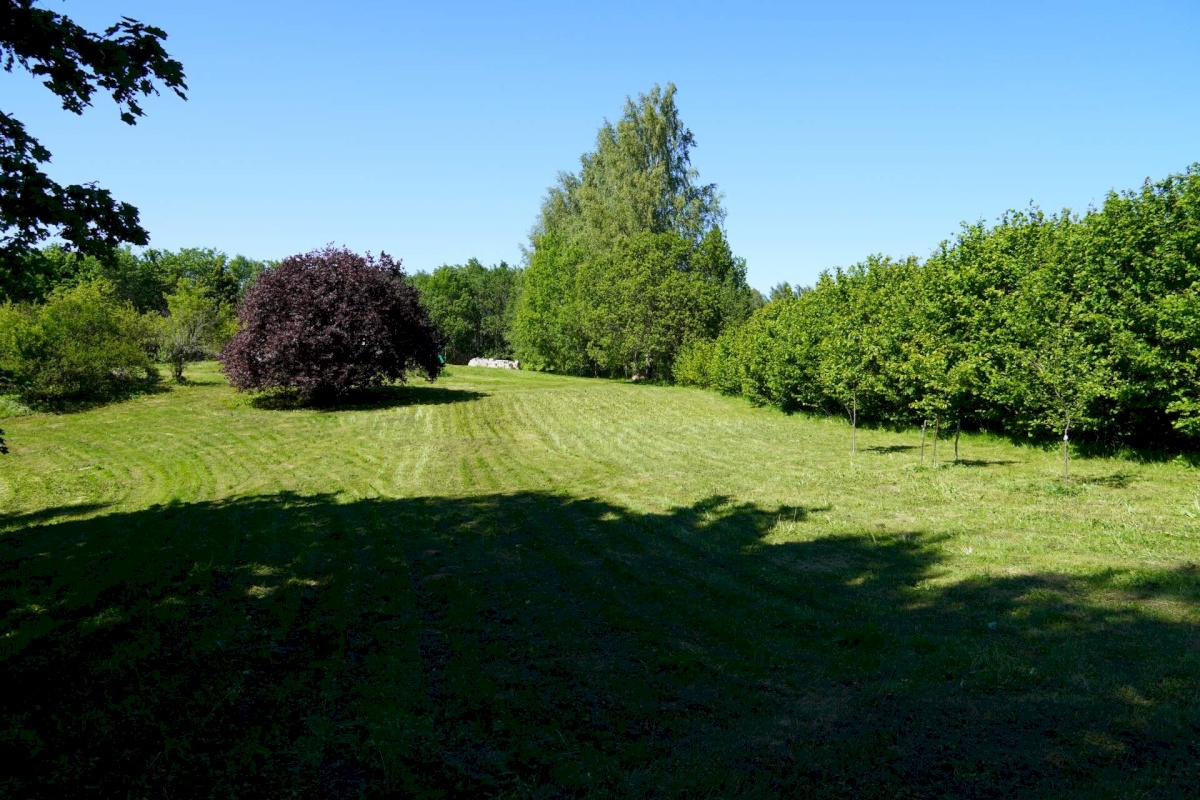 Võru vald, Meeliku küla, Ojavete