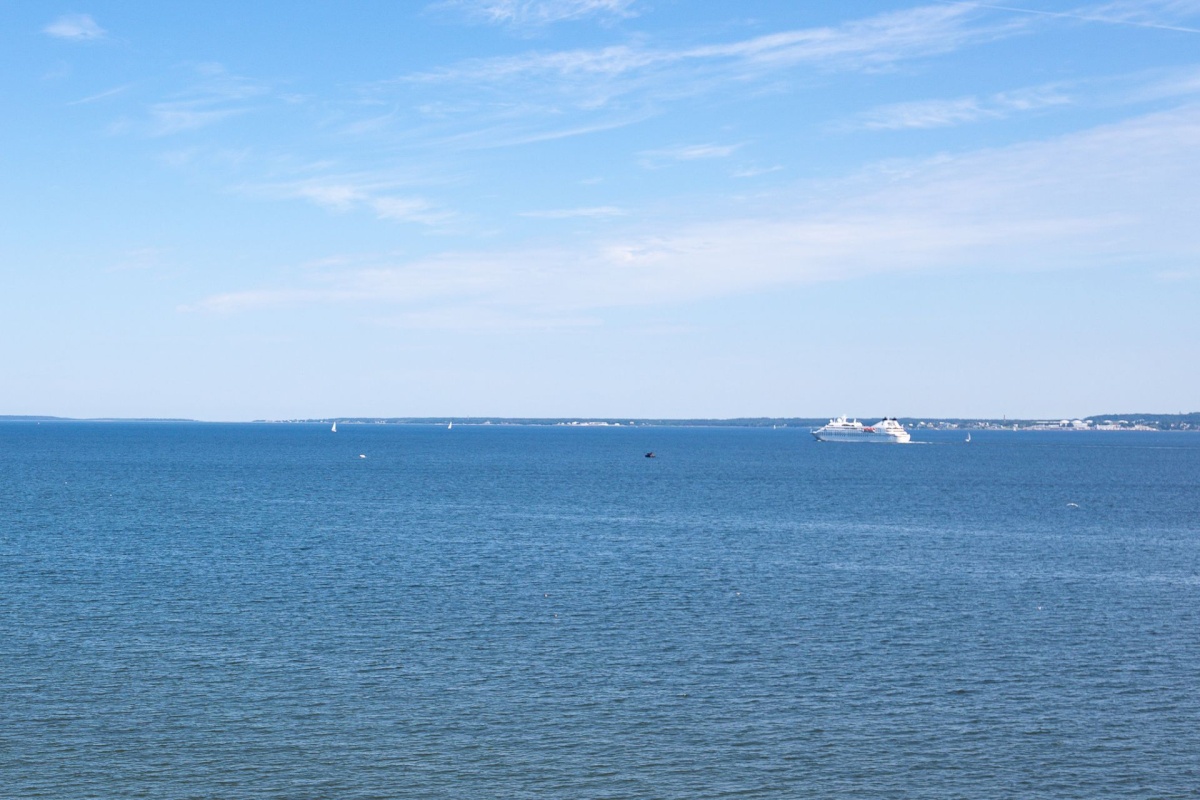 Tallinn, Põhja-Tallinna linnaosa, Kalamaja, Suur-Patarei