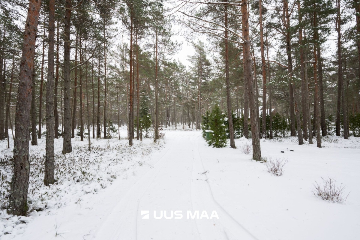 Lääne-Nigula vald, Elbiku küla/Ölbäck, Roosta tee Johanna