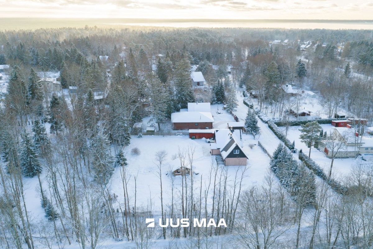 Lääne-Harju vald, Laulasmaa küla, Karukella 1