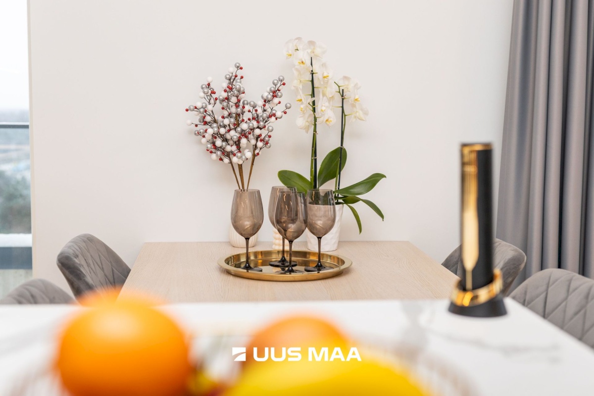 Tallinn, Kristiine linnaosa, Järve, Järve 2