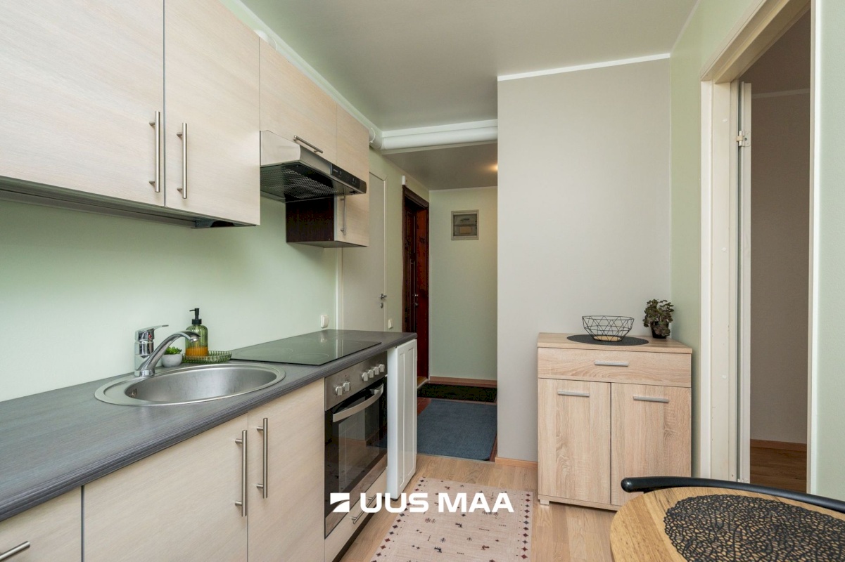 Tartu linn, Tartu linn, Veeriku, L. Puusepa 24