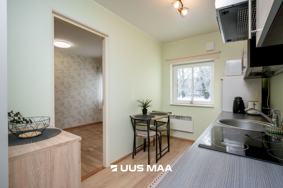 Tartu linn, Tartu linn, Veeriku, L. Puusepa 24