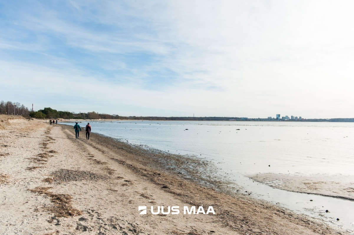 Tallinn, Põhja-Tallinna linnaosa, Pelguranna, Madala tn 16