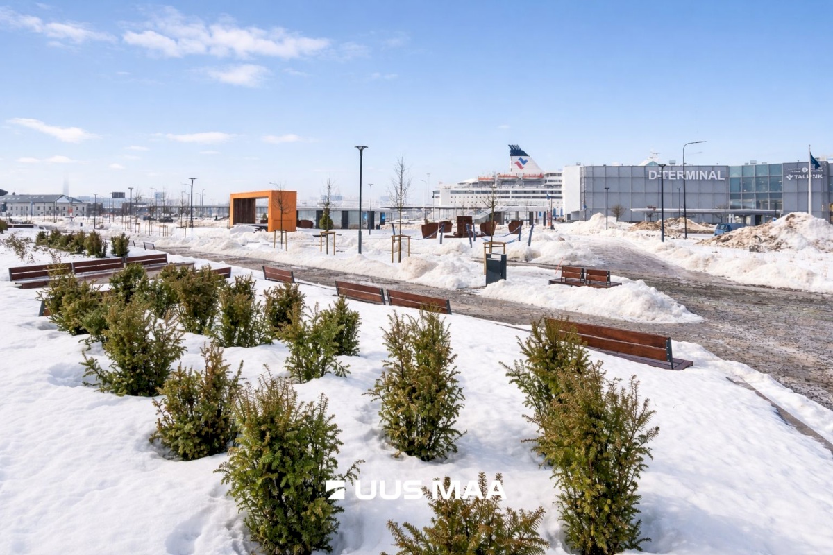 Tallinn, Kesklinna linnaosa, Lootsi 8