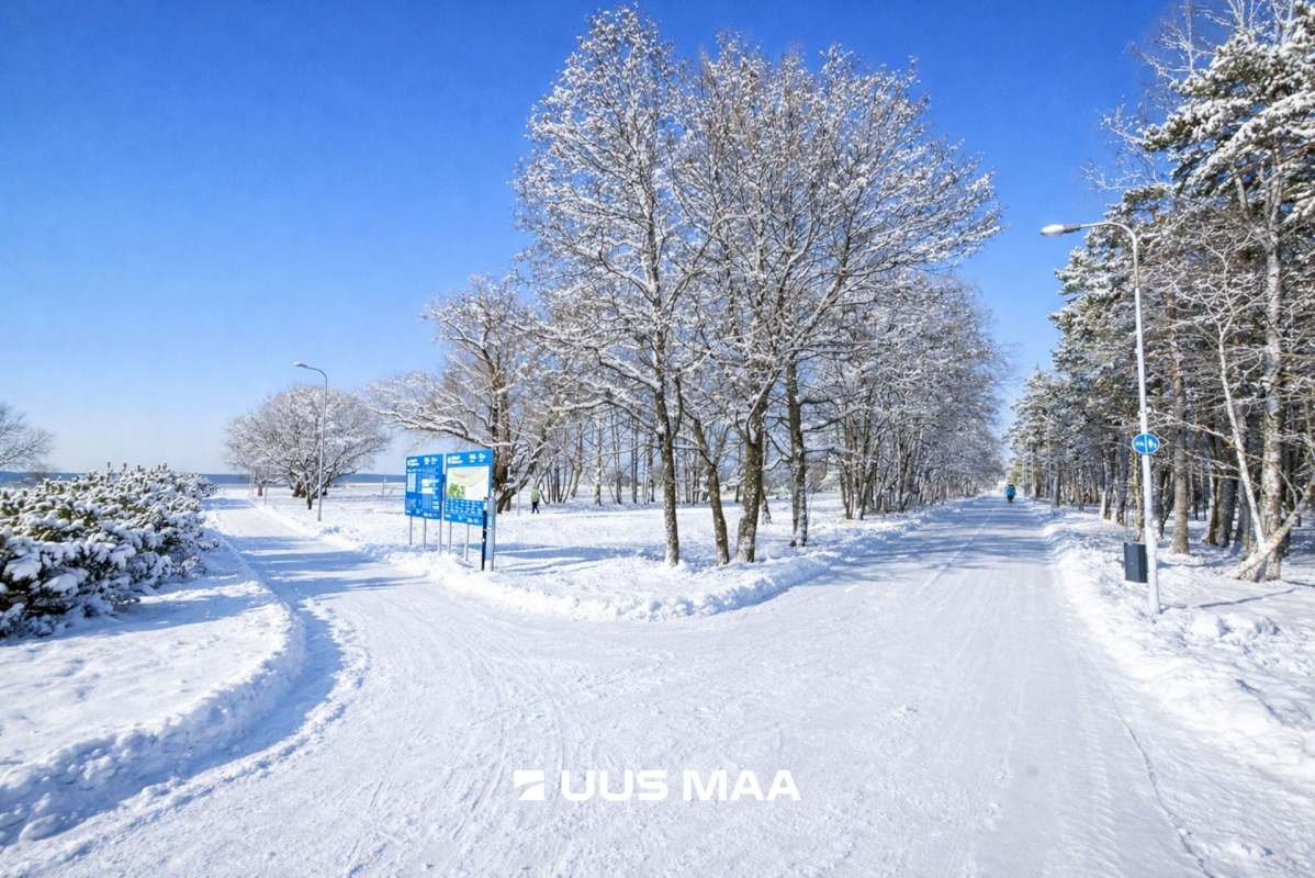 Tallinn, Haabersti linnaosa, Lahepea tn 9