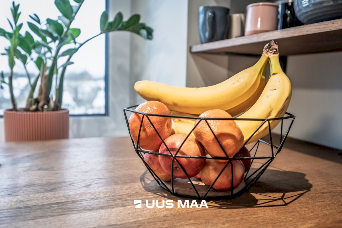 Tallinn, Kristiine linnaosa, Tulika 62