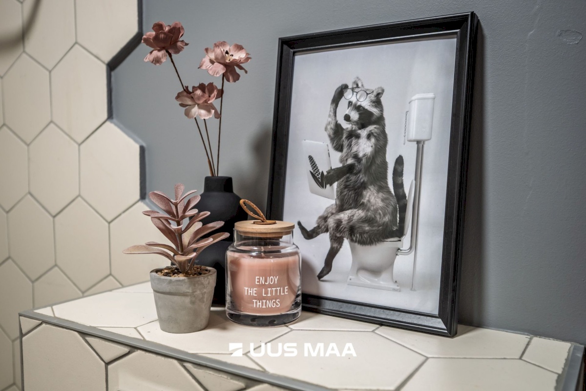 Tallinn, Kristiine linnaosa, Tulika 62