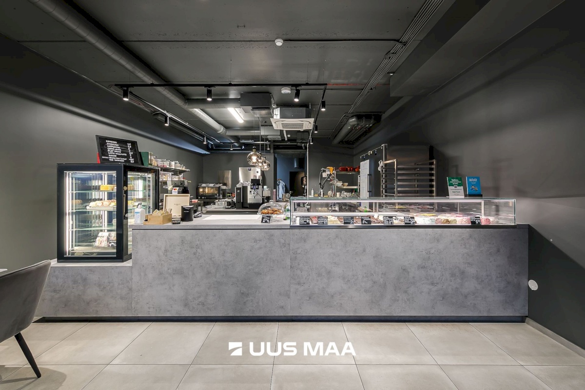 Tallinn, Kesklinna linnaosa, Kentmanni tn 28