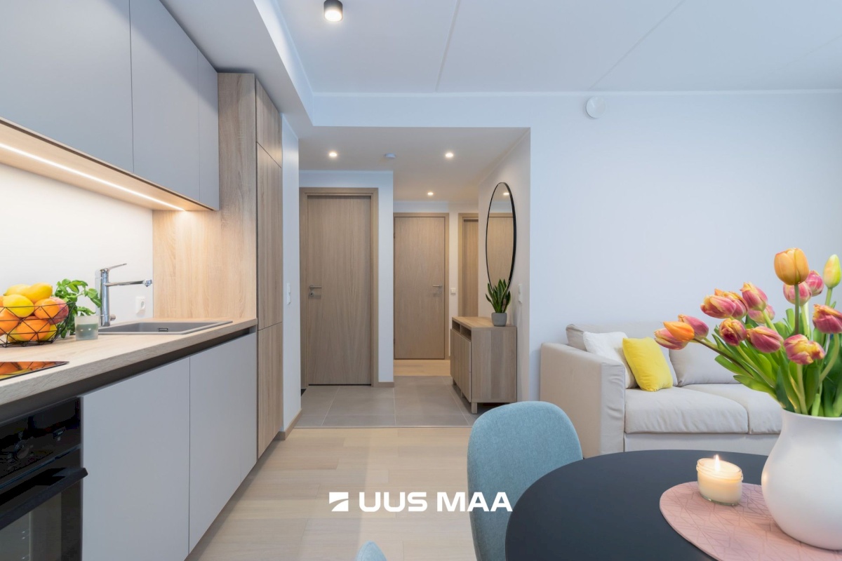 Keila linn, Põhjatähe 1