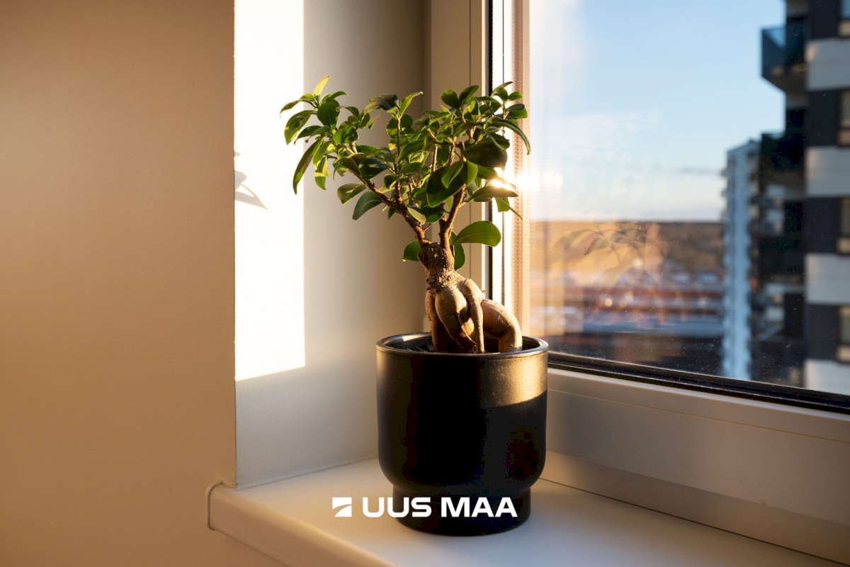Tallinn, Mustamäe linnaosa, Pöörise 16