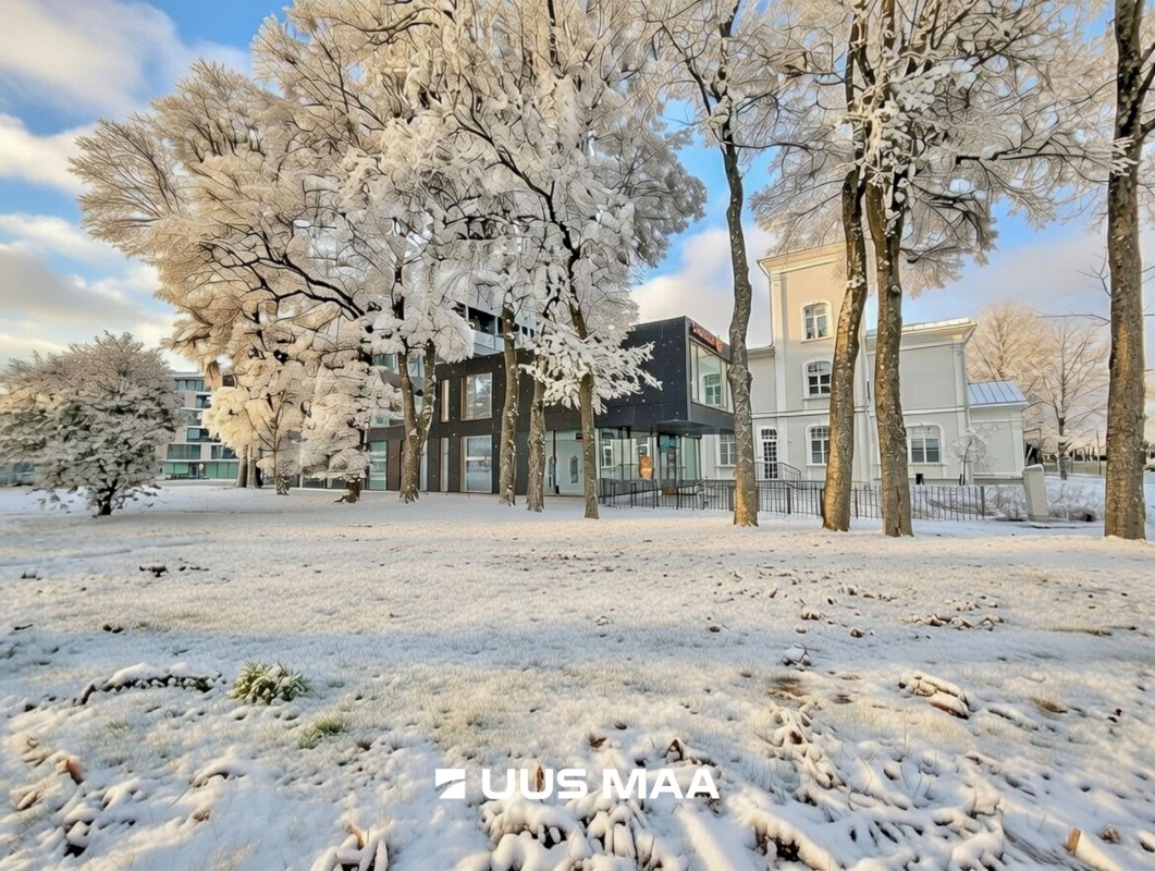 Pärnu linn, Pärnu linn, Kesklinn, Pikk tn 16