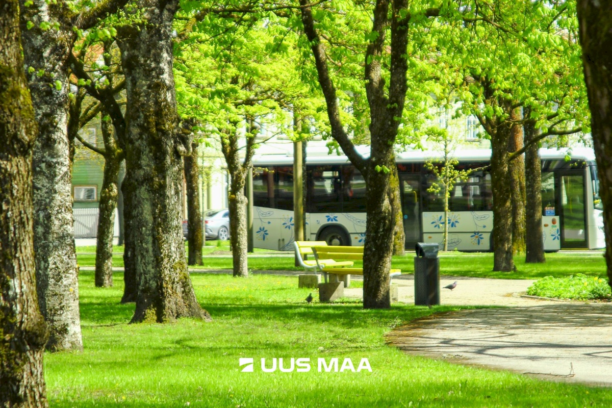 Pärnu linn, Pärnu linn, Kesklinn, Pikk tn 16