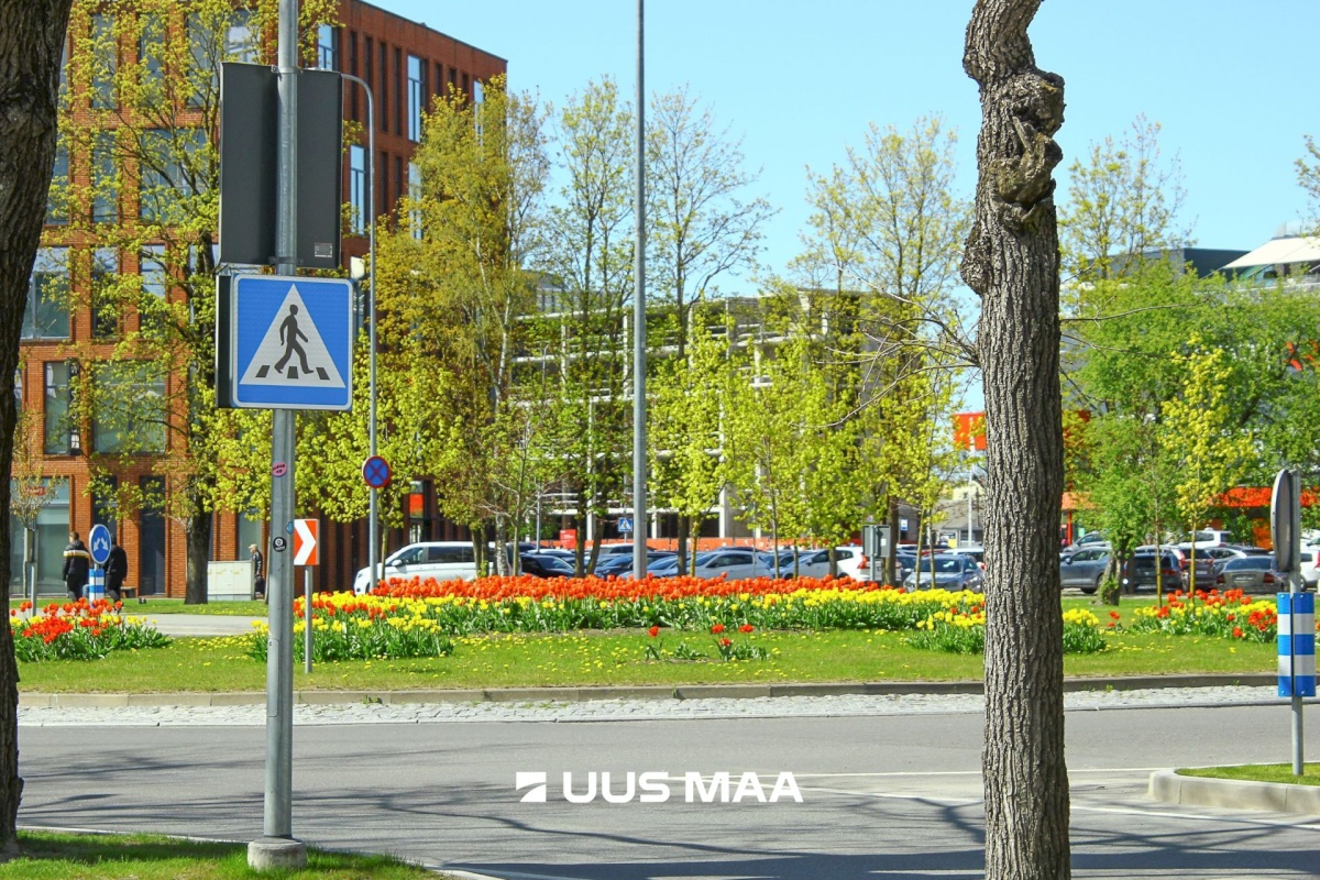 Pärnu linn, Pärnu linn, Kesklinn, Pikk tn 16