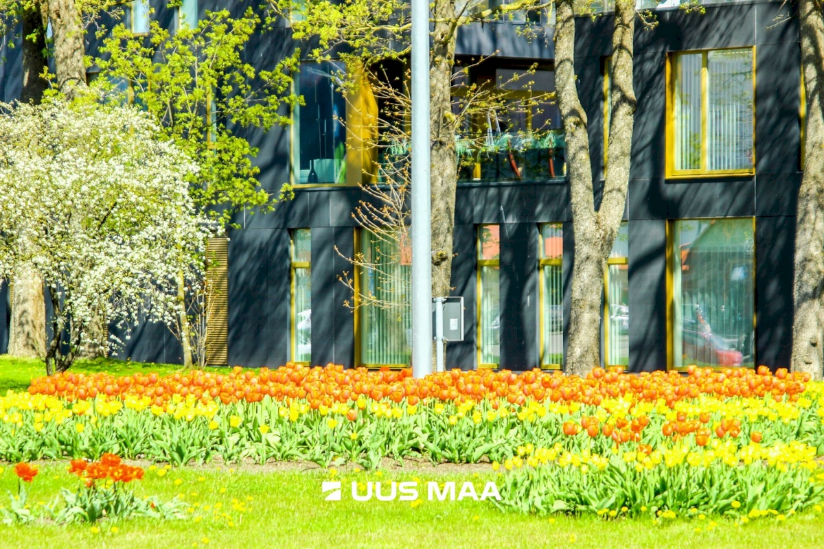 Pärnu linn, Pärnu linn, Kesklinn, Pikk tn 16