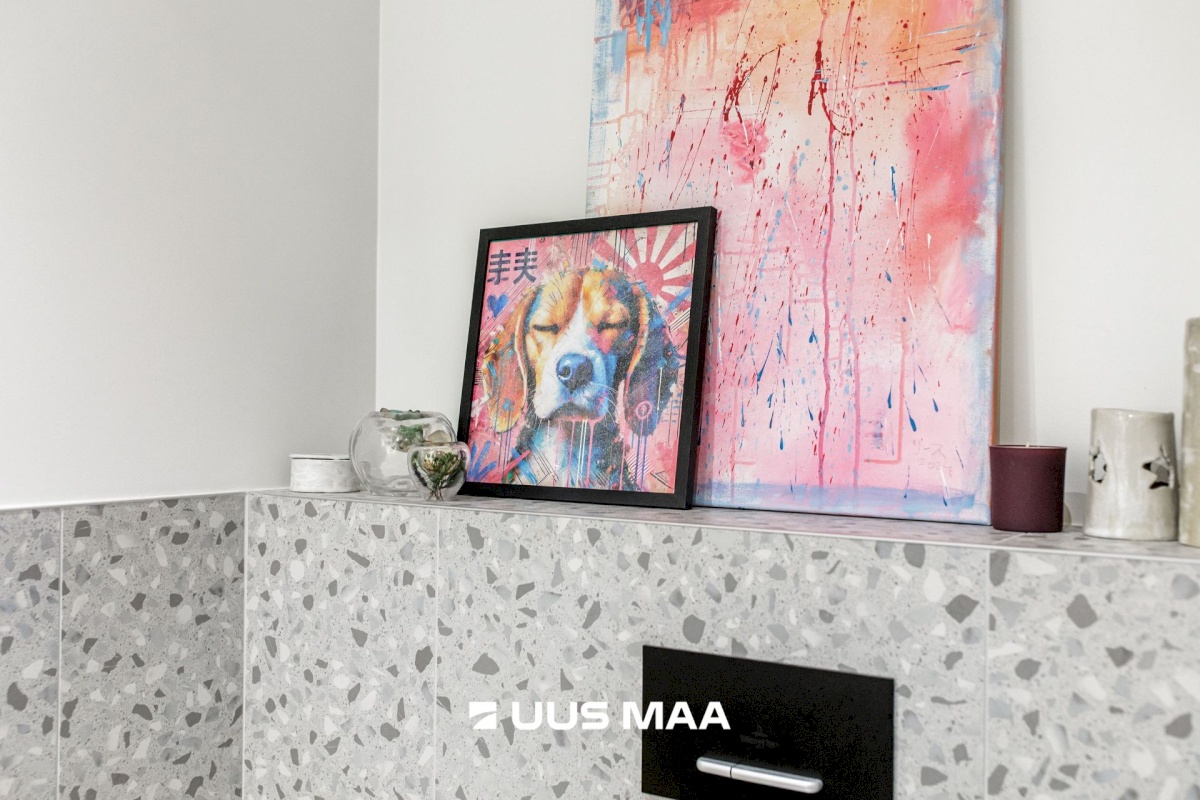 Tallinn, Põhja-Tallinna linnaosa, Ankru 8