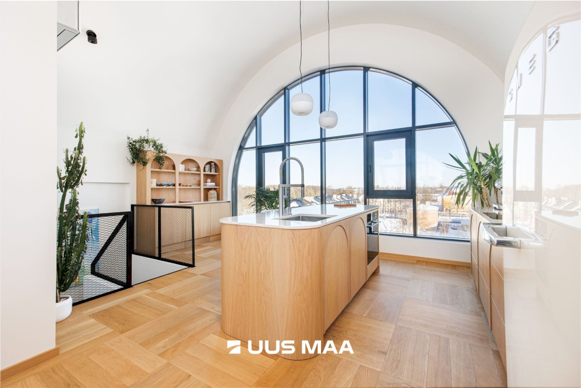 Tallinn, Põhja-Tallinna linnaosa, Ankru 8