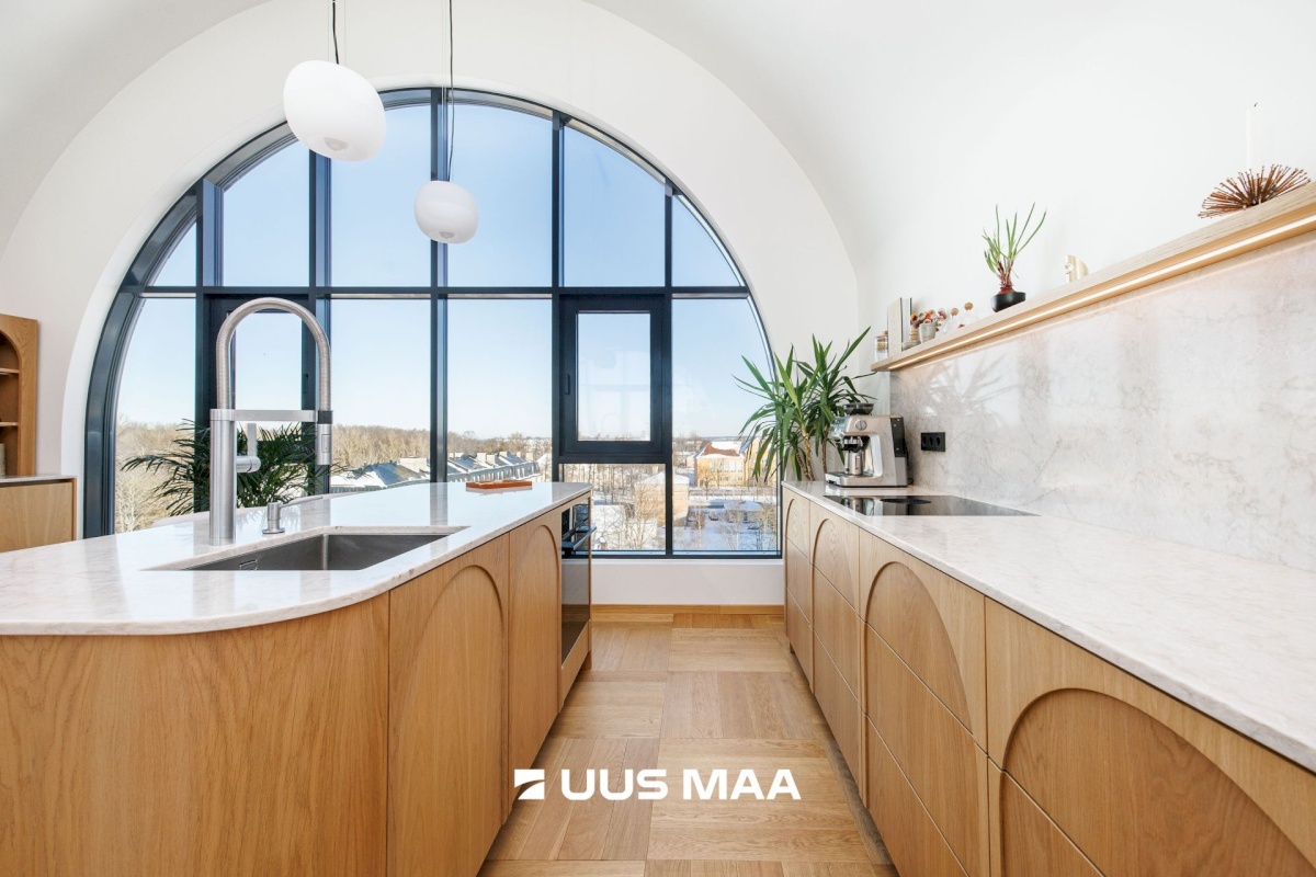 Tallinn, Põhja-Tallinna linnaosa, Ankru 8