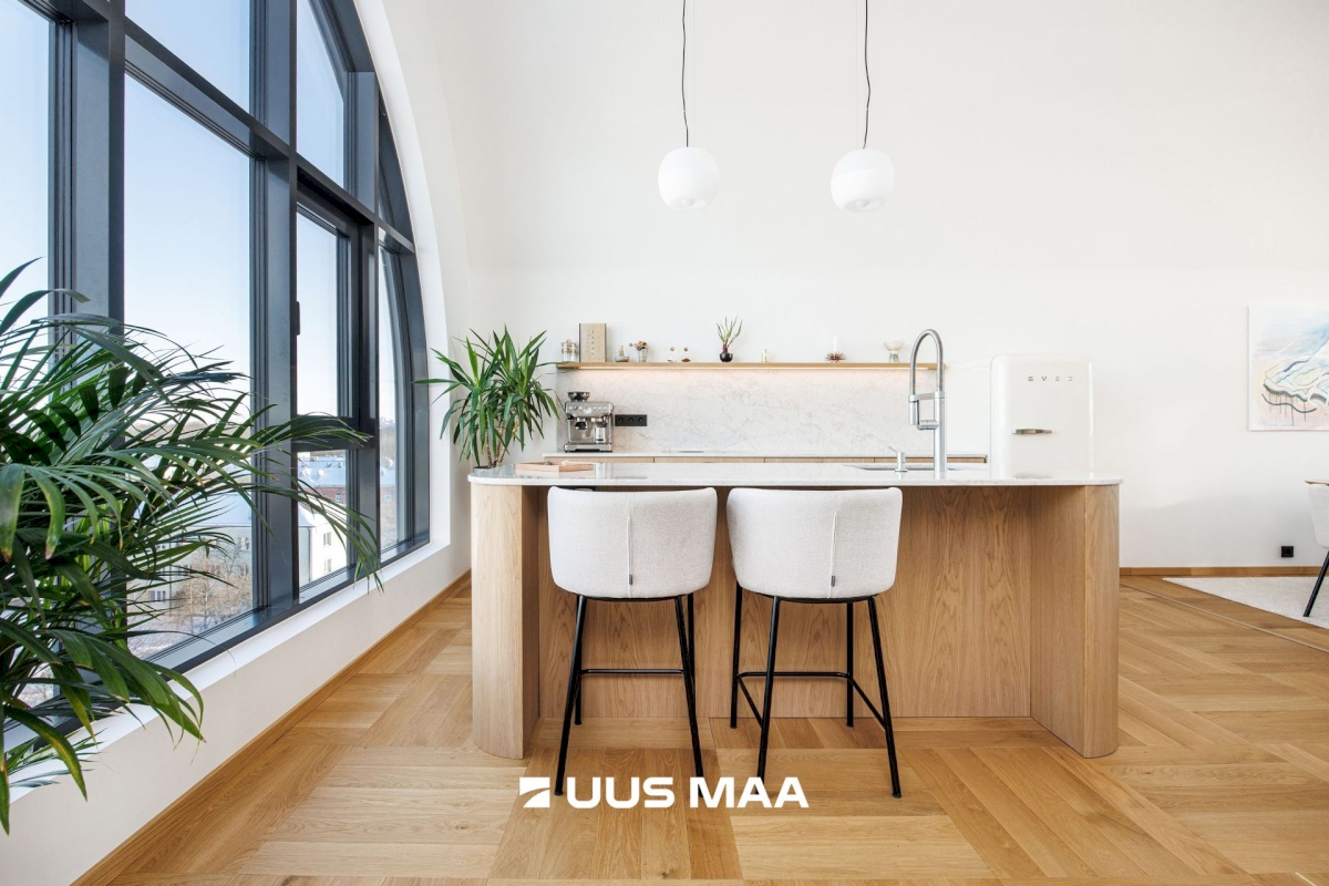 Tallinn, Põhja-Tallinna linnaosa, Ankru 8