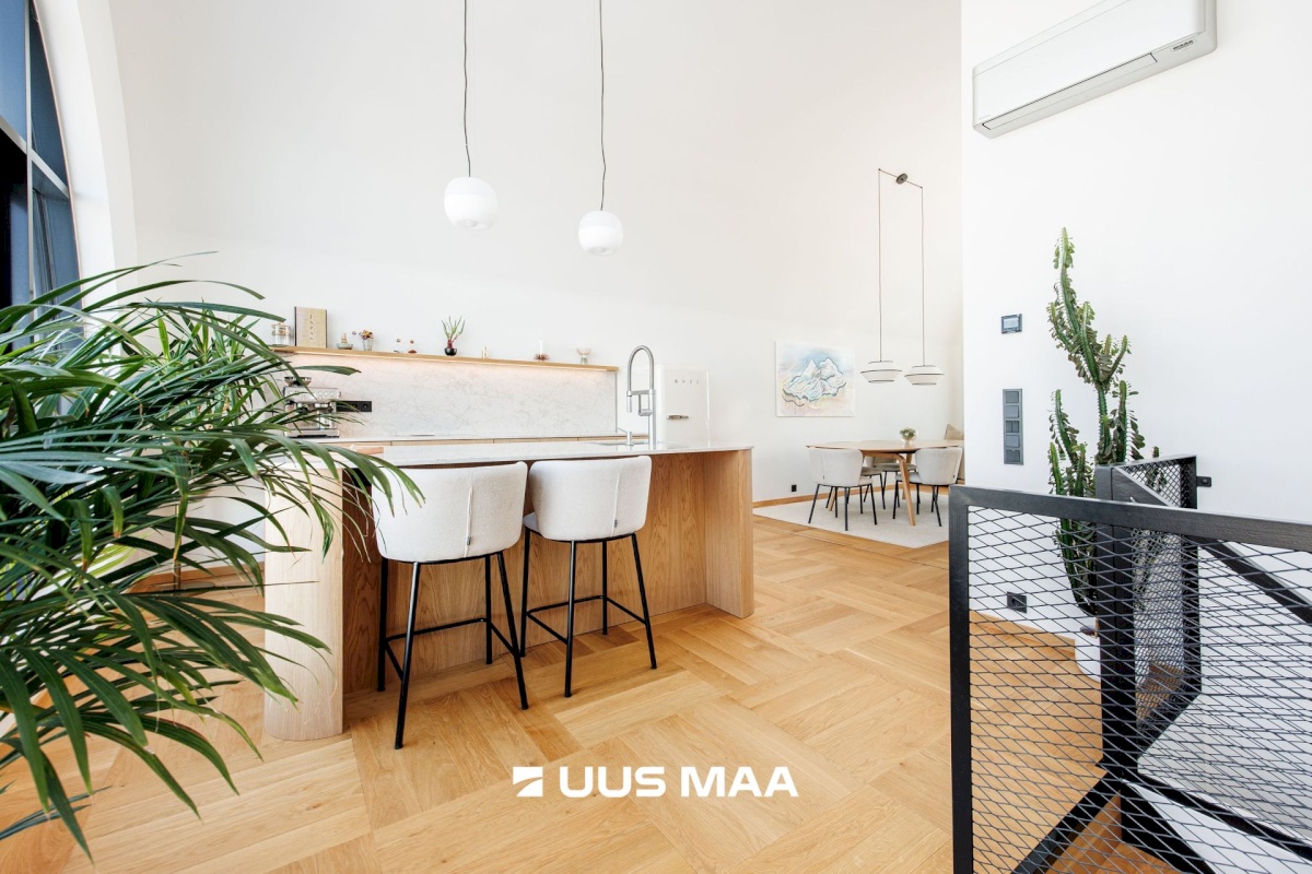 Tallinn, Põhja-Tallinna linnaosa, Ankru 8