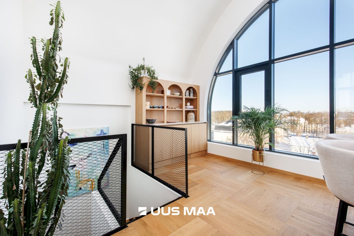 Tallinn, Põhja-Tallinna linnaosa, Ankru 8