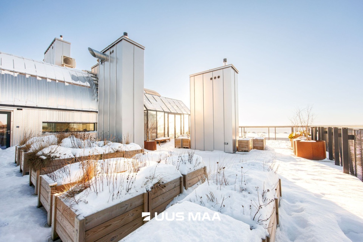 Tallinn, Põhja-Tallinna linnaosa, Ankru 8