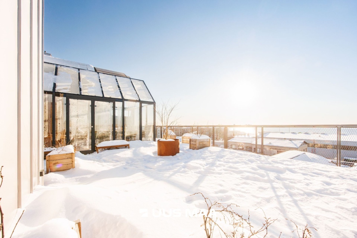 Tallinn, Põhja-Tallinna linnaosa, Ankru 8