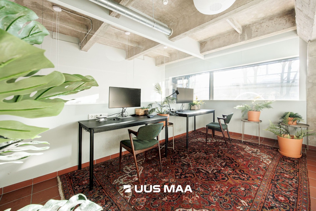 Tallinn, Põhja-Tallinna linnaosa, Ankru 8