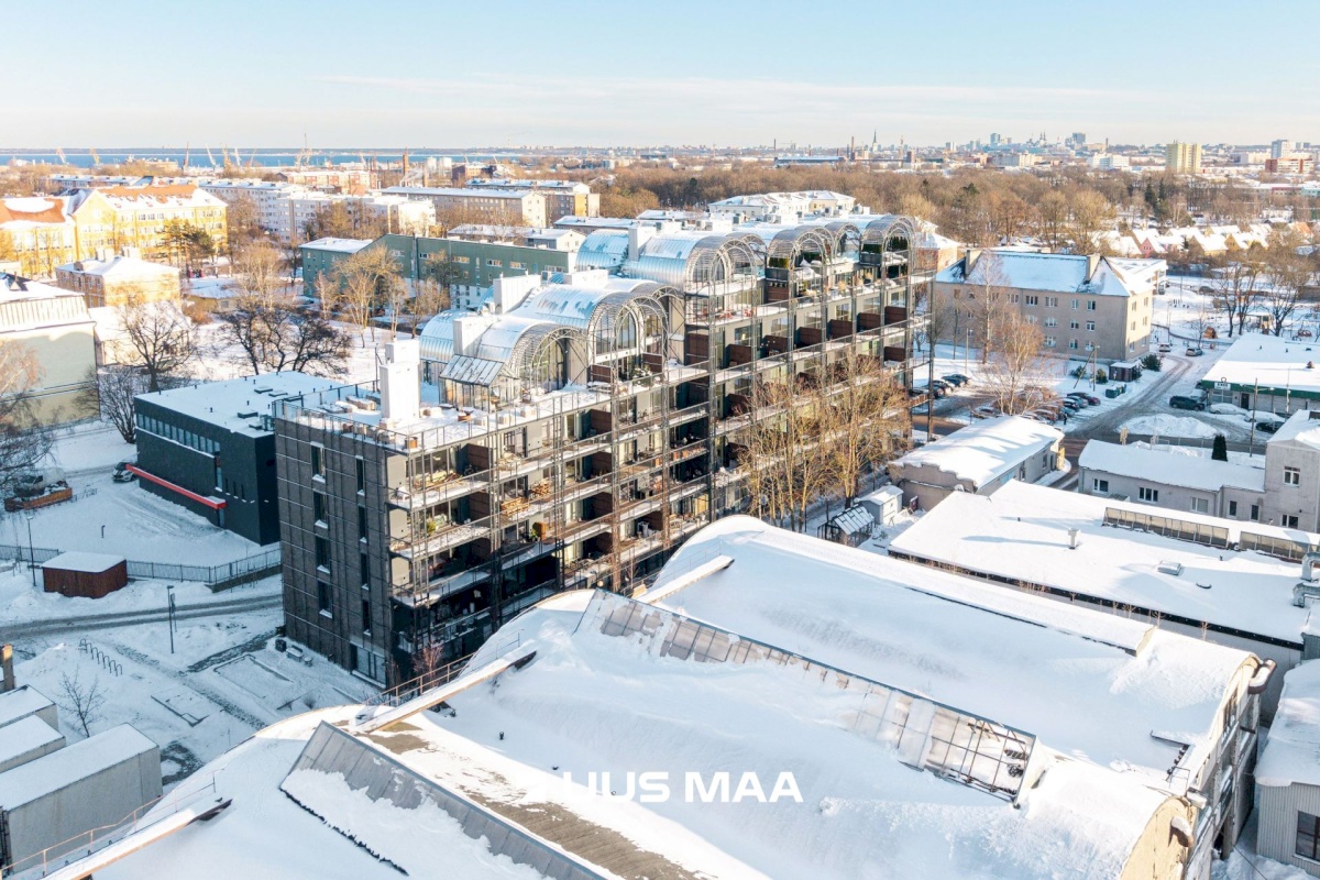 Tallinn, Põhja-Tallinna linnaosa, Ankru 8