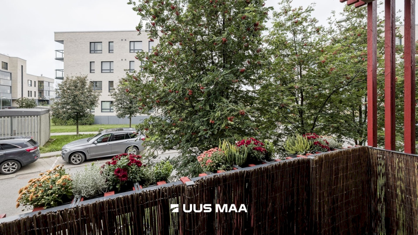 Tallinn, Põhja-Tallinna linnaosa, Vibu tn 3